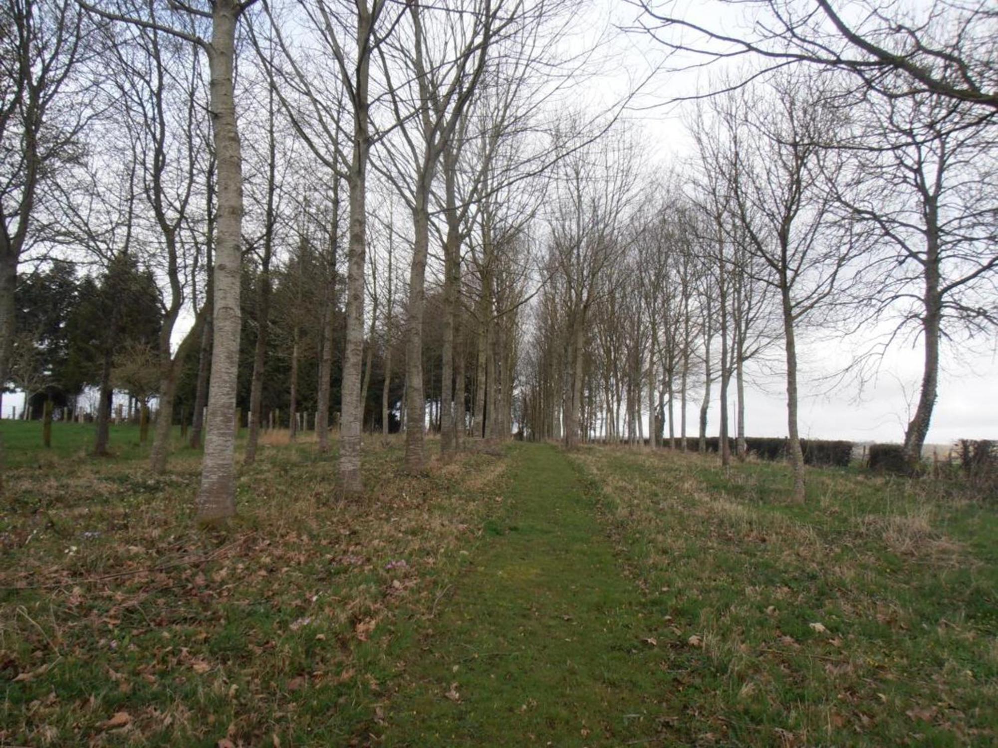 Maison De Charme Avec Grand Jardin, Proche Haras Du Pin, Animaux Acceptes, Ideale Pour Familles - Fr-1-497-5 Saint-Pierre-la-Riviere Dış mekan fotoğraf