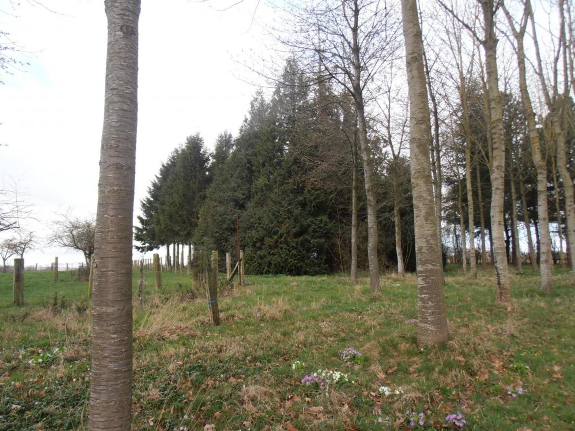 Maison De Charme Avec Grand Jardin, Proche Haras Du Pin, Animaux Acceptes, Ideale Pour Familles - Fr-1-497-5 Saint-Pierre-la-Riviere Dış mekan fotoğraf